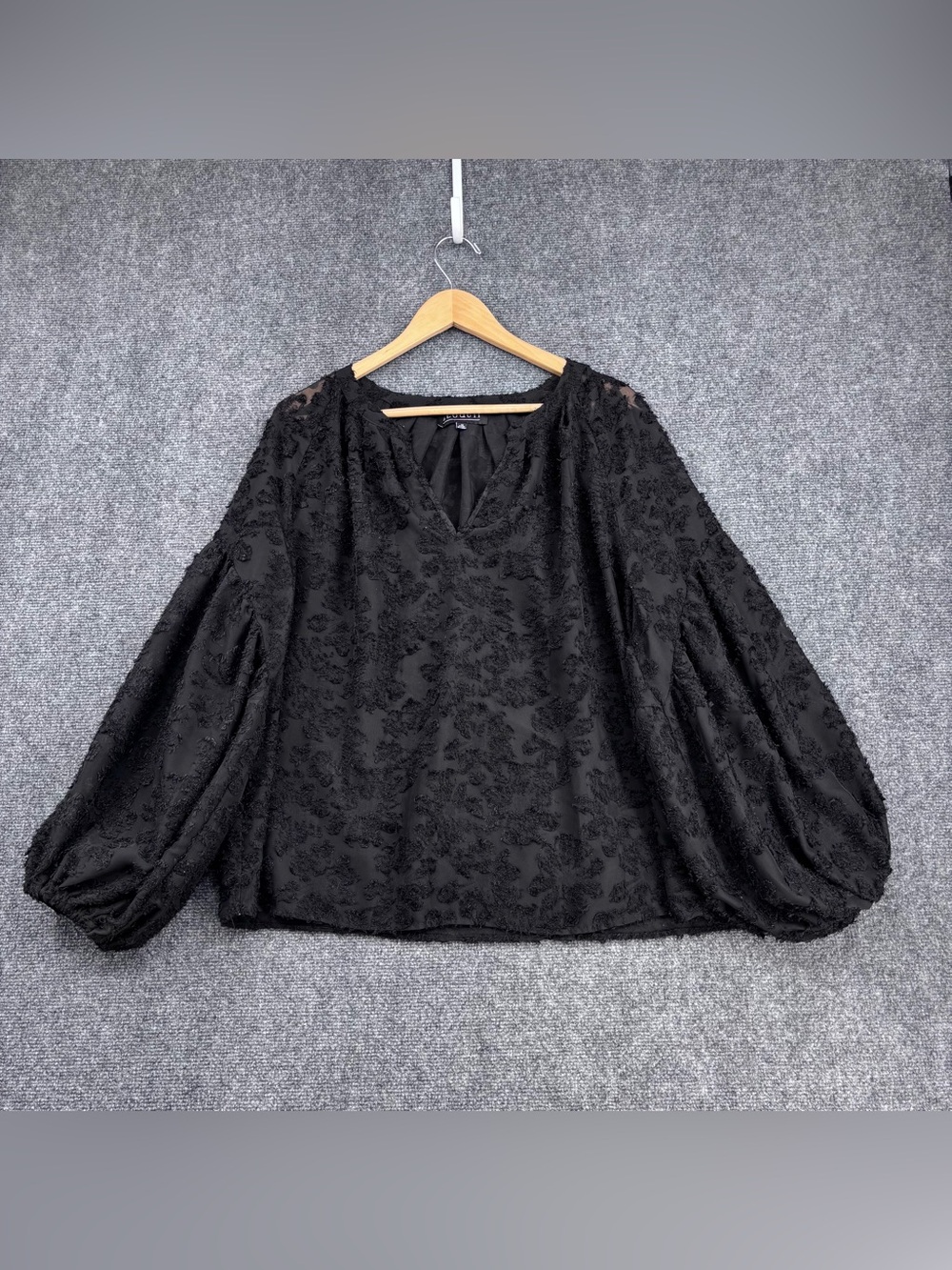 Black Burnout Whimsigoth Flowy Sheer Top Balloon Sleeve Women’s Plus 16